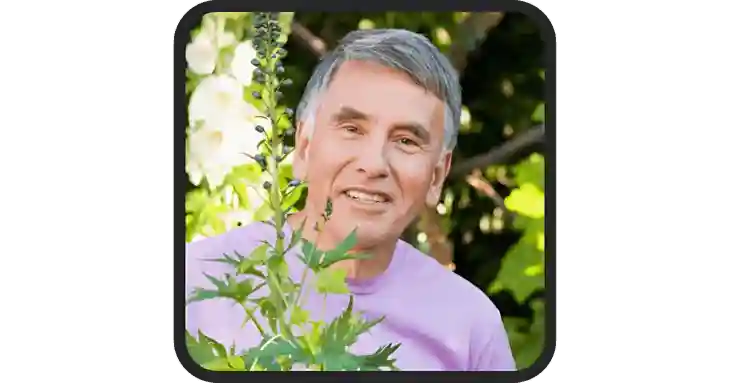 Gluco Cleanse Tea Reviews